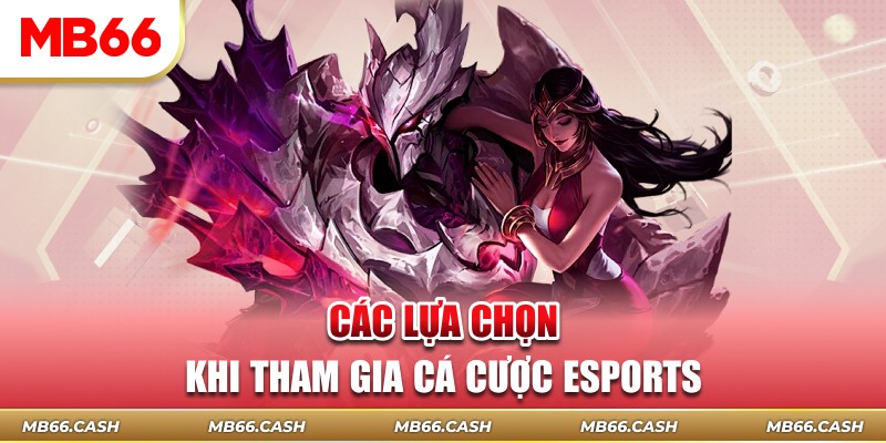 Các lựa chọn khi tham gia cá cược esports