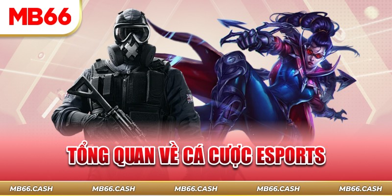 Tổng quan về cá cược esports